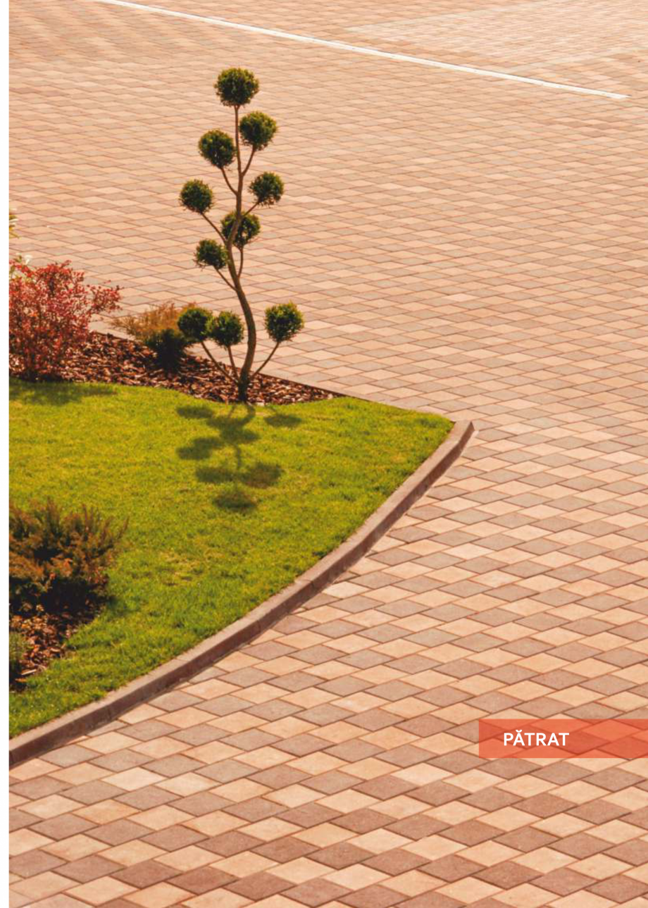 Pagina 31 - Catalog produse WISE 2024 WISE TETRA XXL, TETRA COMBI, TETRA XL, VEZUVIU, TRANSILVANIA, ...