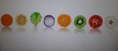 Sticla printata - felii fructe si legume Modele sticla printata