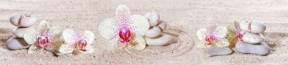 Sticla printata - orhidee pe nisip Modele sticla printata