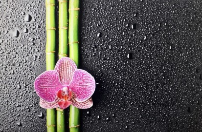Sticla printata - orhidee pe bete de bambus Modele sticla printata
