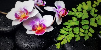 Sticla printata - orhidee pe pietre Modele sticla printata