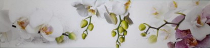 Sticla printata - orhidee alba Modele sticla printata