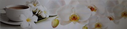Sticla printata - orhidee alba Modele sticla printata
