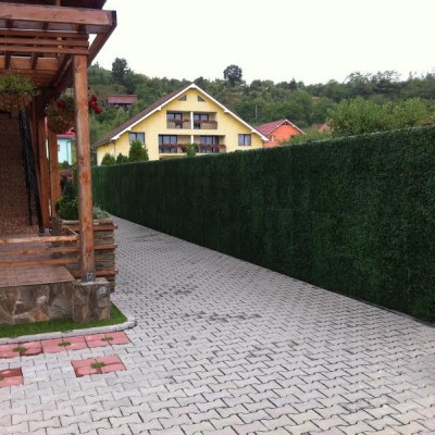 Vesnic Verde Interior curte cu gard din plante artificiale - Pereti verzi cu plante artificiale pentru