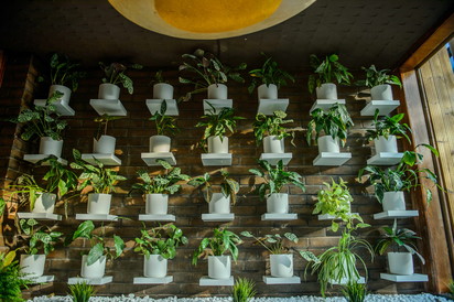 Studio Garden - Amenajare interior, perete cu plante in ghiveci Amenajari exterioare pentru gradini STUDIO GARDEN