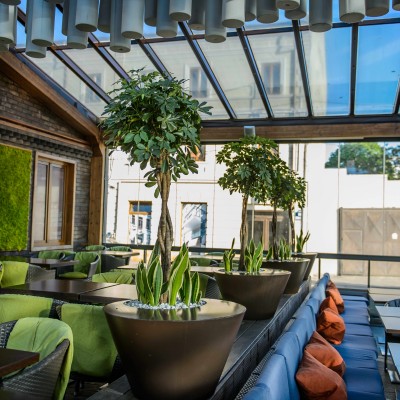 STUDIO GARDEN Studio Garden - Amenajare interior cu plante verzi - Amenajari exterioare pentru gradini si
