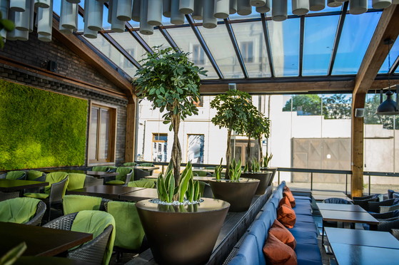 STUDIO GARDEN Studio Garden - Amenajare interior cu plante verzi - Amenajari exterioare pentru gradini si