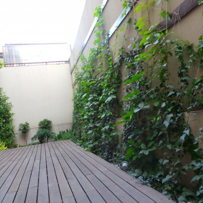 STUDIO GARDEN Studio Garden - Amenajare gradina urbana - Amenajari exterioare pentru gradini si spatii verzi