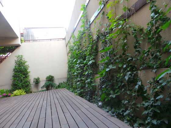 STUDIO GARDEN Studio Garden - Amenajare gradina urbana - Amenajari exterioare pentru gradini si spatii verzi