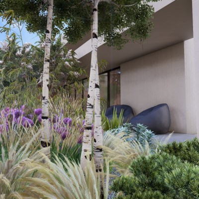 STUDIO GARDEN Proiectare peisagistica pentru gradini si curti private - Proiectare peisagistica pentru gradini si curti