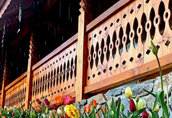 Scandura ornamentala pentru foisoare, terase, balcoane HOLZRING