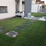 Pasi de pisica andezit