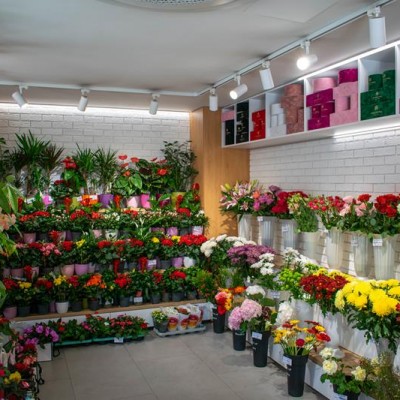 Amedio Ideas Interior florarie - detalii - Caramida aparenta klinker pentru placari interioare si exterioare Amedio
