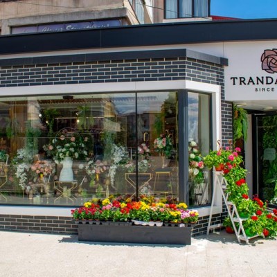 Amedio Ideas Vedere din exterior - florarie - Caramida aparenta klinker pentru placari interioare si exterioare