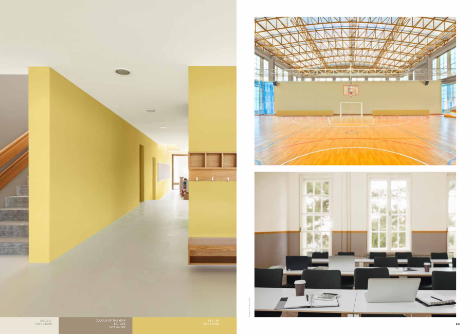 Pagina 7 - Colour Futures 2021  Catalog, brosura F4.04.73
30YY 56/060

E5.03.82
00YY 74/053

G0.16...