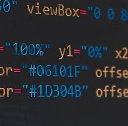 Servicii de suport tehnic IT pentru firme si companii MIRIO DEVELOPMENT