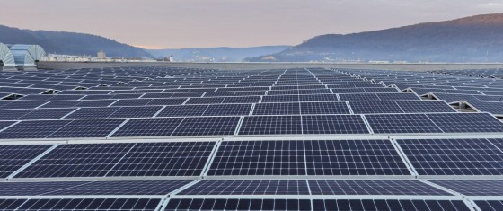 Rises Vedere de aproape - panouri fotovoltaice - Sisteme complete panouri fotovoltaice pentru productia de energie