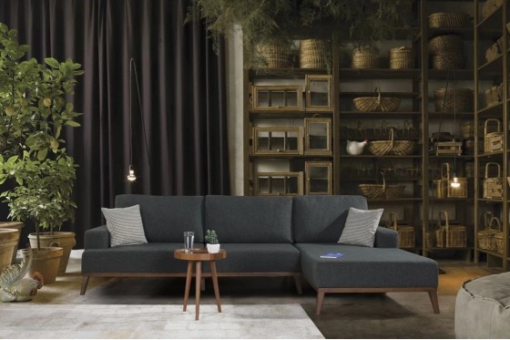 GV Beauty Store Living cu coltar - Canapele moderne si clasice din lemn masiv pentru amenajari