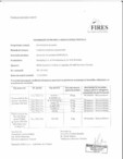 Raport de evaluare a rezistentei la foc FIRES PR14-0431 RAWLPLUG - R-GS