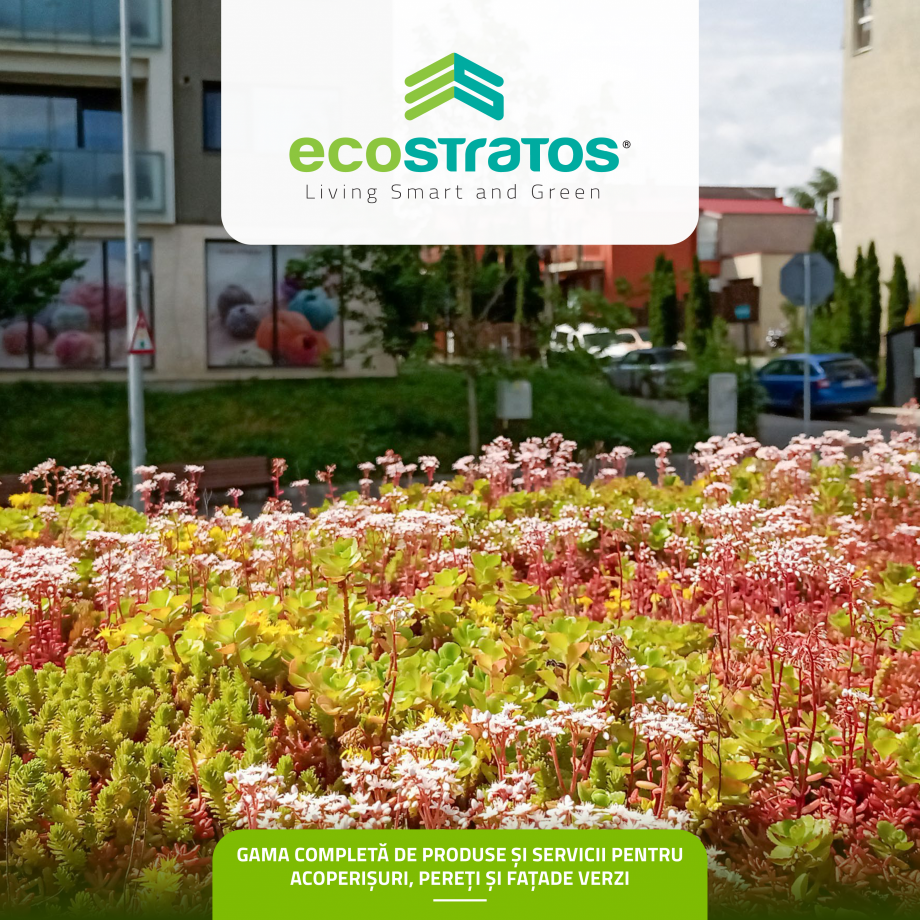 Pagina 1 - Catalog Ecostratos - Acoperisuri verzi  Catalog, brosura Romana GAMA COMPLETĂ DE PRODUSE...