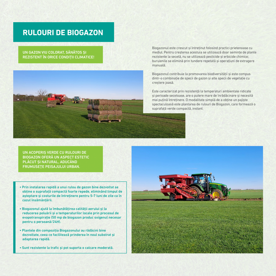 Pagina 12-Catalog Ecostratos - Acoperisuri verzi  Catalog, brosura Romana i acoperișul dumneavoastră...