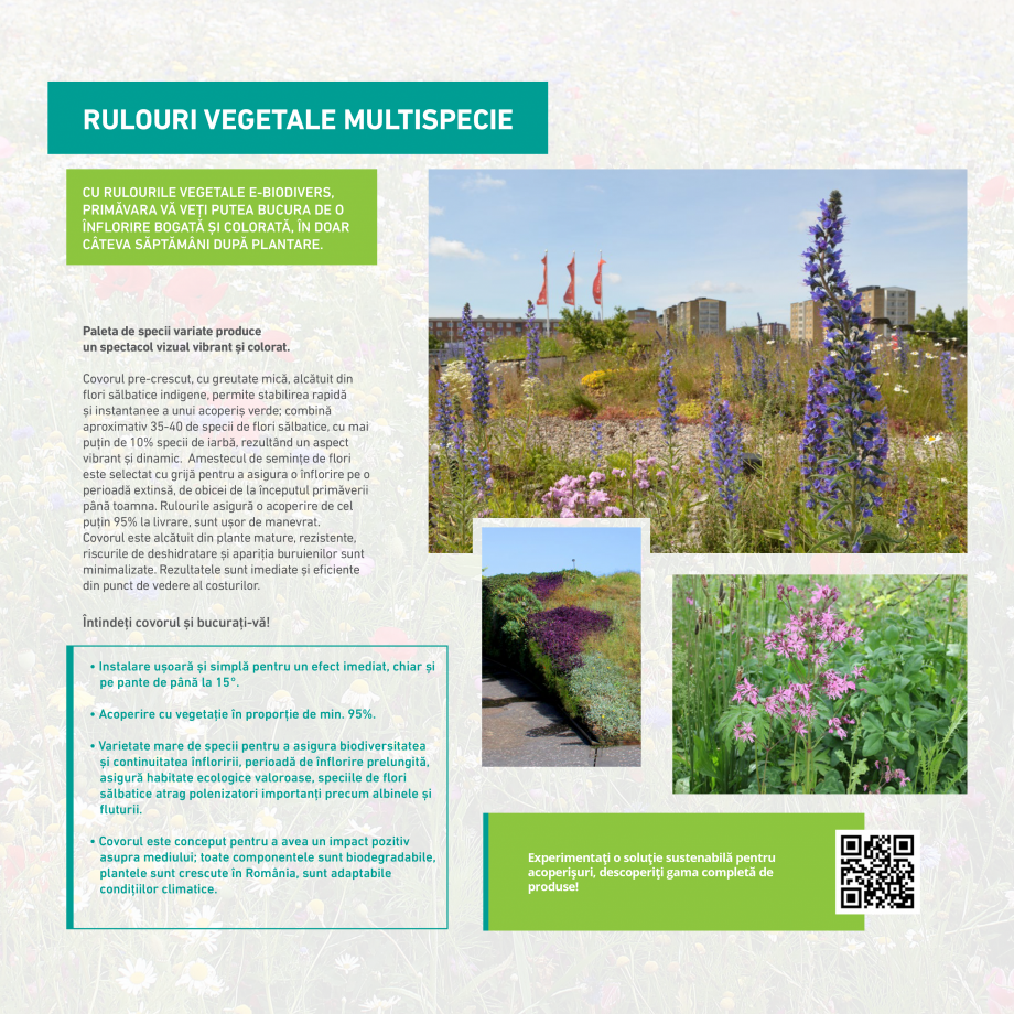 Pagina 13 - Catalog Ecostratos - Acoperisuri verzi  Catalog, brosura Romana E-Sedum Light (0.8-1.5...