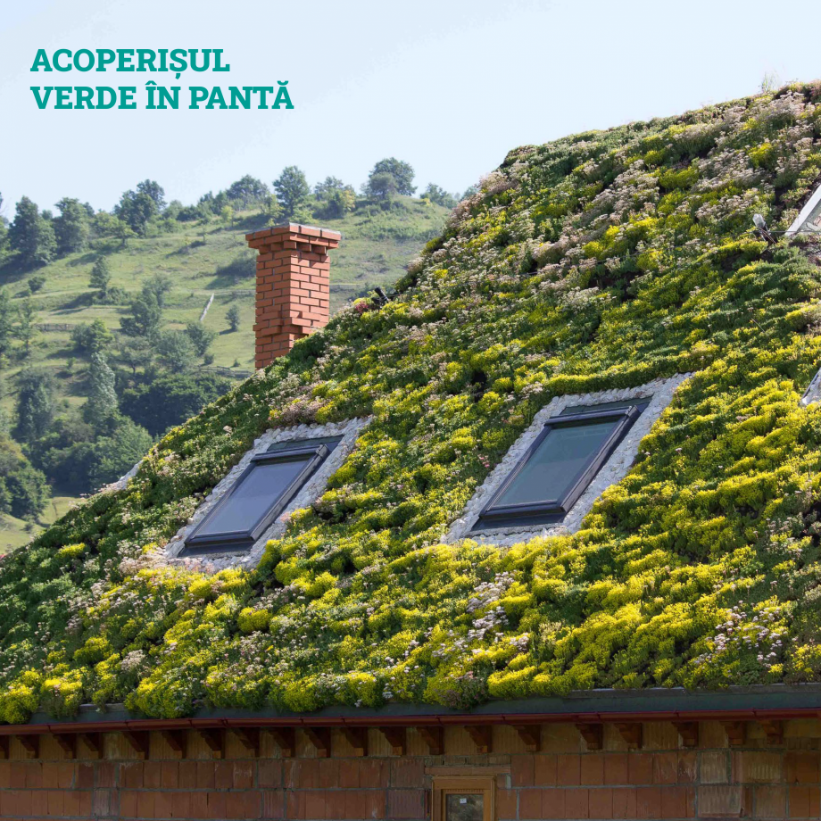 Pagina 34-Catalog Ecostratos - Acoperisuri verzi  Catalog, brosura Romana tă utilizarea lor
pe suprafețe...