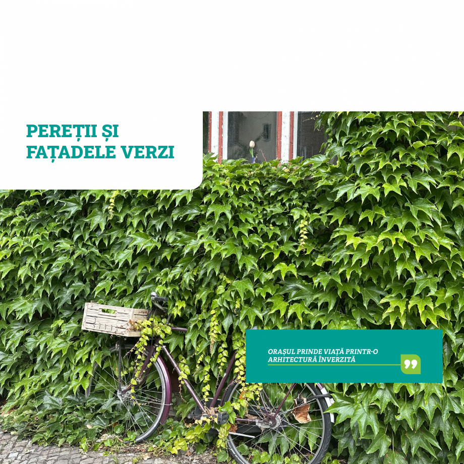 Pagina 41 - Catalog Ecostratos - Acoperisuri verzi  Catalog, brosura Romana eotextil filtrant...