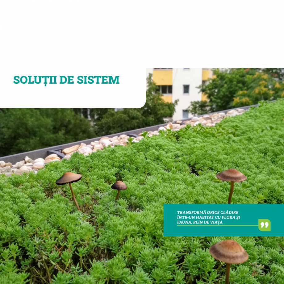 Pagina 18-Catalog Ecostratos - Acoperisuri verzi ECOSTRATOS Catalog, brosura Romana tanțelor nutritive. Este ...