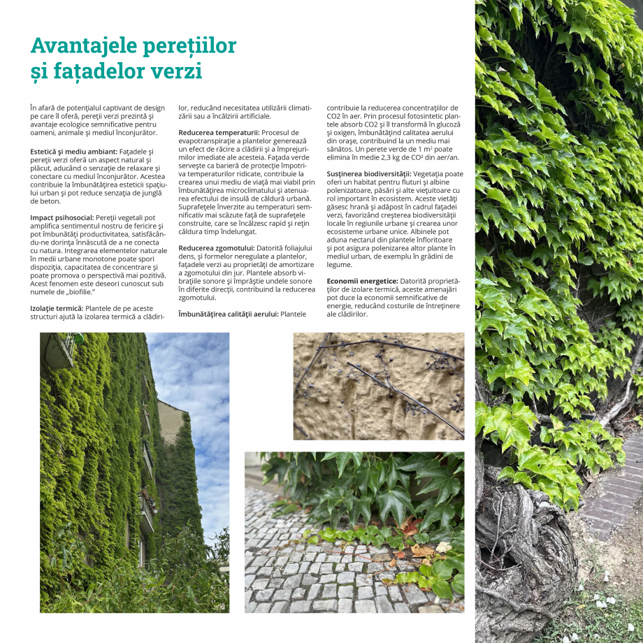 Pagina 43-Catalog Ecostratos - Acoperisuri verzi ECOSTRATOS Catalog, brosura Romana ltrarezistent. Se...