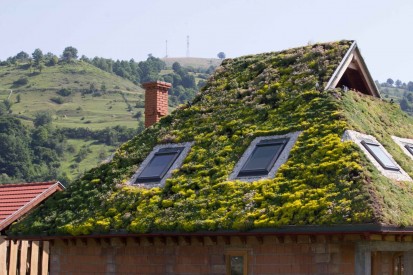 Vedere de aproape - acoperis verde - Fenyéd  Proiecte realizate de terti cu produse ECOSTRATOS