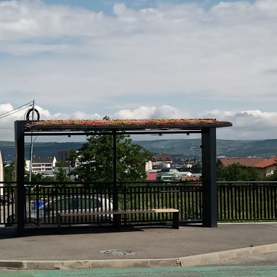 ECOSTRATOS Cluj statii autobuz - acoperis verde - Sisteme complete de acoperisuri si terase verzi intensive