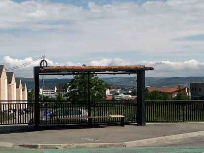Cluj statii autobuz - acoperis verde Proiecte realizate de terti cu produse ECOSTRATOS