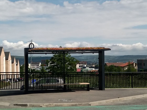 ECOSTRATOS Cluj statii autobuz - acoperis verde - Sisteme complete de acoperisuri si terase verzi intensive