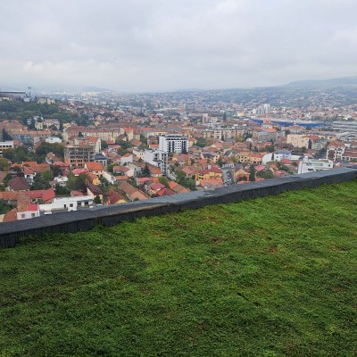 ECOSTRATOS Detalii acoperis verde - Cluj Maurer - Sisteme complete de acoperisuri si terase verzi intensive