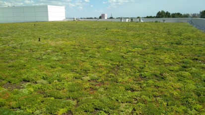  Acoperis verde - Kaufland Maritimo Proiecte realizate de terti cu produse ECOSTRATOS
