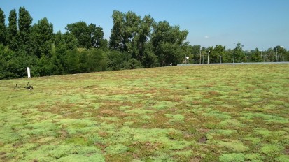  Acoperis verde - Lidl Cta Soveja Proiecte realizate de terti cu produse ECOSTRATOS