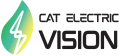 CAT ELECTRIC VISION