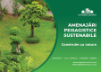 Prezentare companie - Eco Garden Construct - 2025 