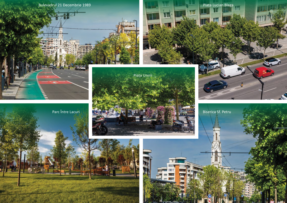 Pagina 18-Prezentare companie Eco Garden Construct  Catalog, brosura Romana și zone verzi din Cluj-Napoca...