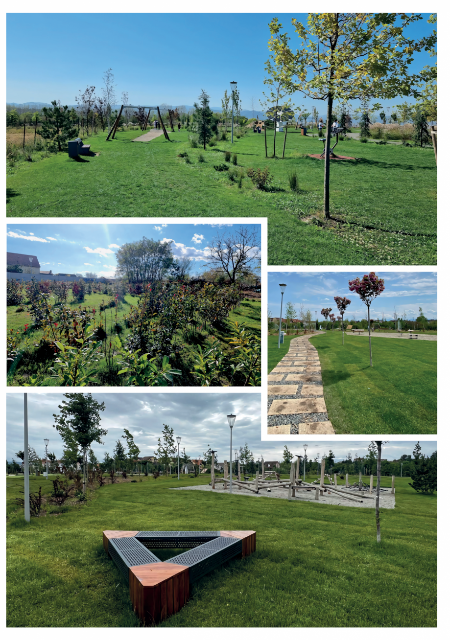 Pagina 7 - Brosura - Studii de caz Eco Garden Construct - Implementare proiecte de amenajare...