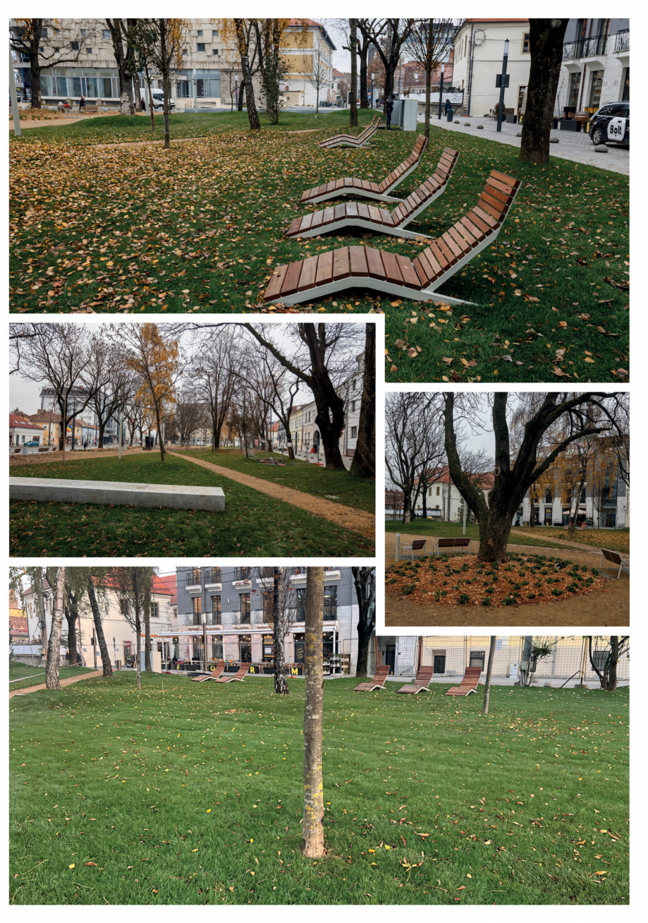 Pagina 15 - Brosura - Studii de caz Eco Garden Construct - Implementare proiecte de amenajare...