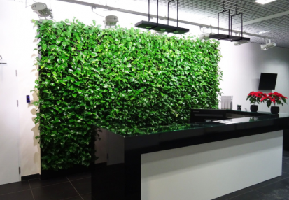 Exemplu de gradina verticala ECO GARDEN CONSTRUCT Gradini verticale pentru pereti si fatade