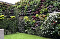 Gradini verticale pentru pereti si fatade ECO GARDEN CONSTRUCT