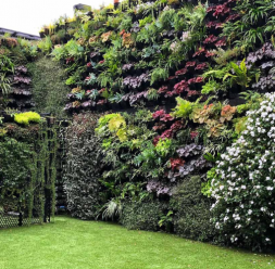 Gradini verticale pentru pereti si fatade ECO GARDEN CONSTRUCT