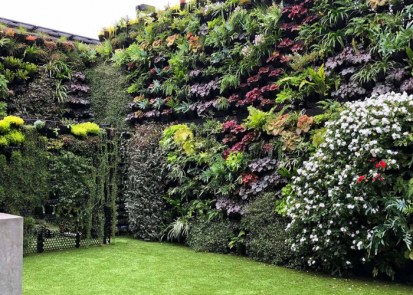 Gradini verticale pentru pereti si fatade ECO GARDEN CONSTRUCT