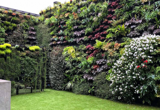 Gradini verticale pentru pereti si fatade ECO GARDEN CONSTRUCT