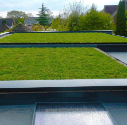 Sisteme de acoperisuri verzi si terase ECO GARDEN CONSTRUCT