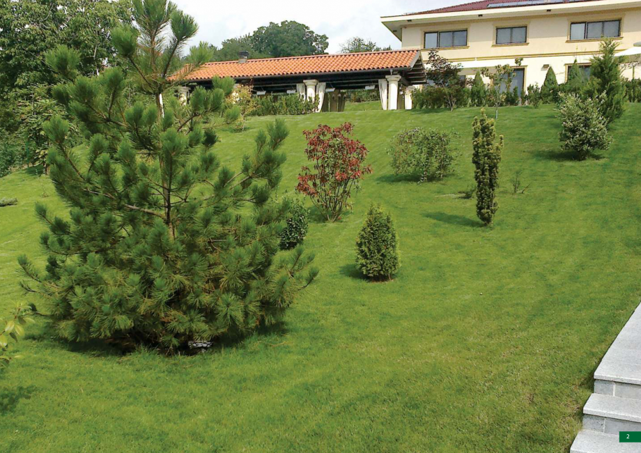 Pagina 3-Catalog - Peisagistica rezidentiala si comerciala ECO GARDEN CONSTRUCT Catalog, brosura Romana 