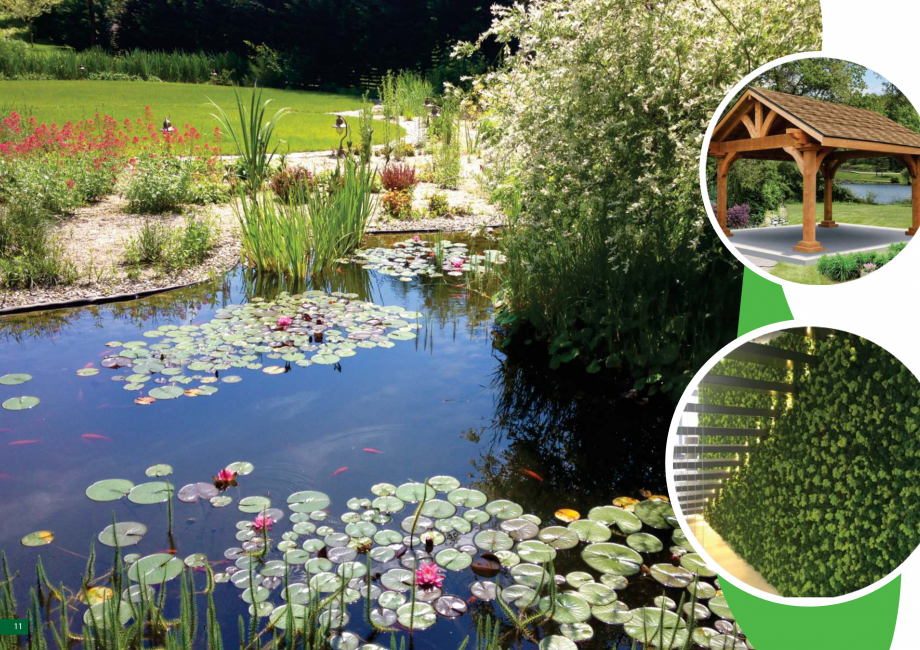 Pagina 12 - Catalog - Peisagistica rezidentiala si comerciala ECO GARDEN CONSTRUCT Catalog, brosura ...